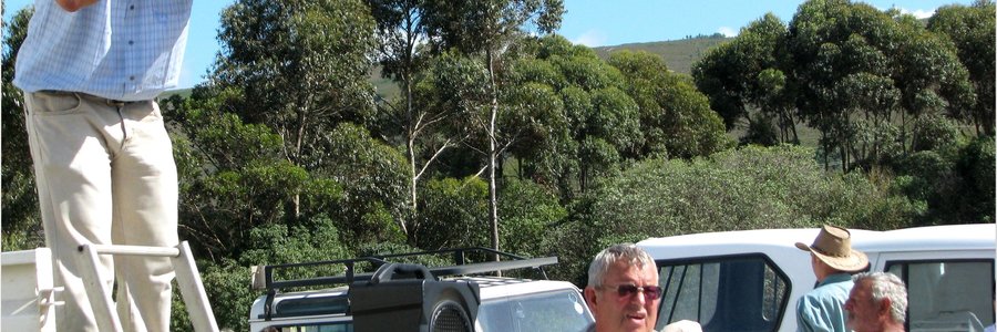 Bâ€™Bos se jaarlikse basaar sal â€œvaalâ€ wees sonder â€˜n egte en opwindende veiling.  (Argieffoto: Gansbaai Courant) 